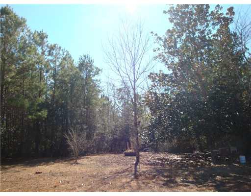 85509 House Creek Road Bush, LA 70431 - Photo 12 of 14 Gallery Image 12