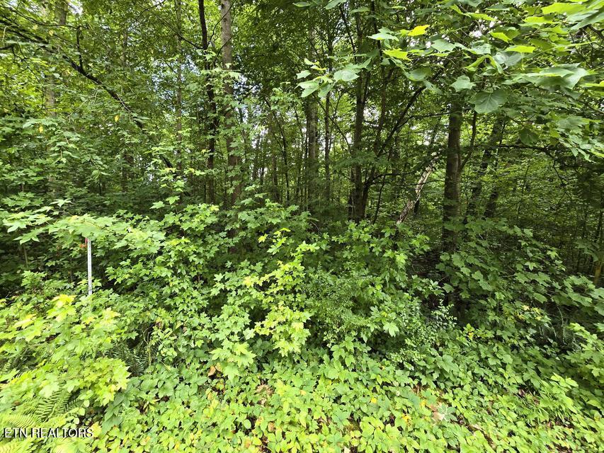 133 Lot Road Dunlap, TN 37327 - Photo 1 of 4 1
