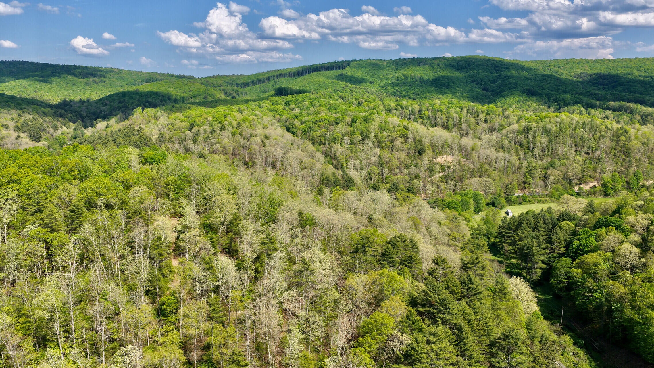 8991 Jones Mountain Road Union, WV 24983 - Photo 17 of 20 8891 Jones Mountain Rd (23)