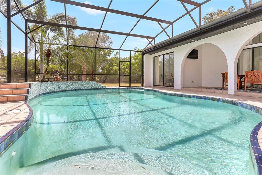 13124 Filly Court Windermere, FL 34786 - Photo 33 of 50 a view of a backyard