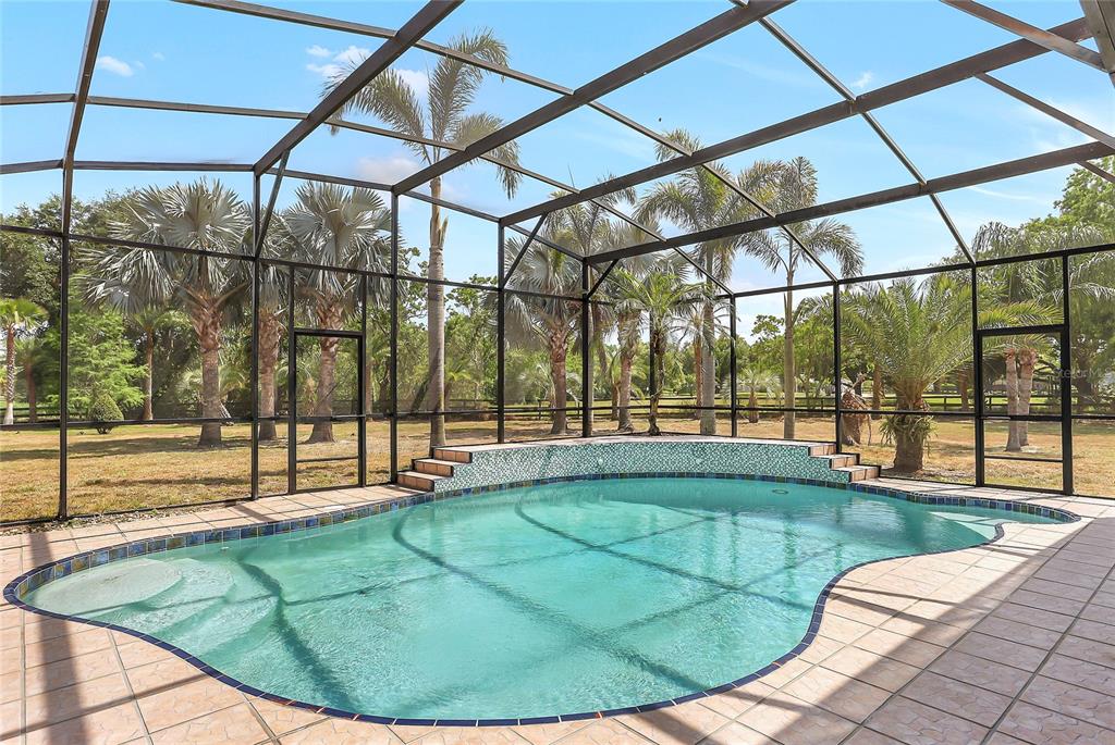 13124 Filly Court Windermere, FL 34786 - Photo 37 of 50 a view of a swimming pool with a couches chairs and a wooden fence
