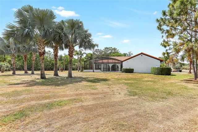 a view of a yard with small plants