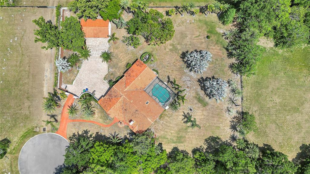 13124 Filly Court Windermere, FL 34786 - Photo 47 of 50 an aerial view of a house with a yard and trees