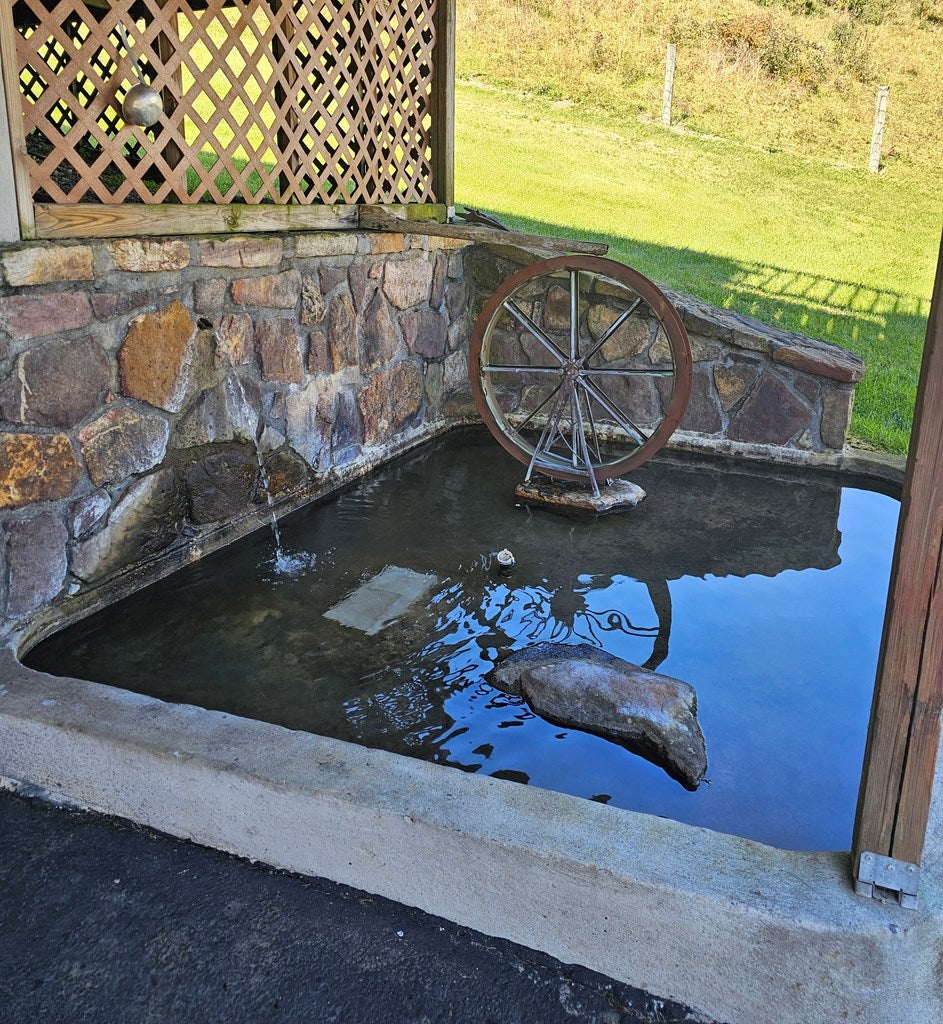 5325 Clearfork Road Bastian, VA 24314 - Photo 23 of 26 Gallery Image 23