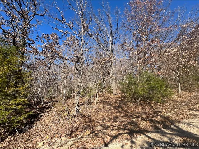 $7,800 | Lot 84-85 Hiwatha Lane, Rocky Mount, MO 65072