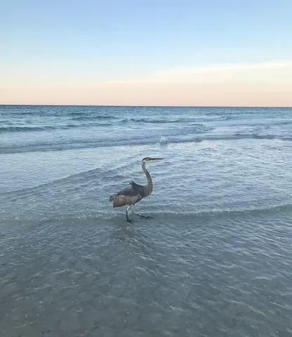 $720,000 | 554 Coral Court, Unit 303, Fort Walton Beach, FL 32548