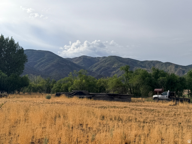 Look up at that gorgeous mountain from your backyard!