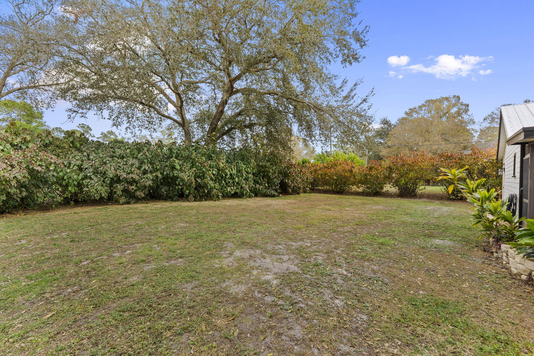 3585 Southeast 8th Street Okeechobee, FL 34974 - Photo 34 of 39 a view of outdoor space and yard