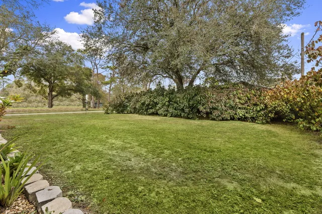 a view of a backyard with plants and large trees