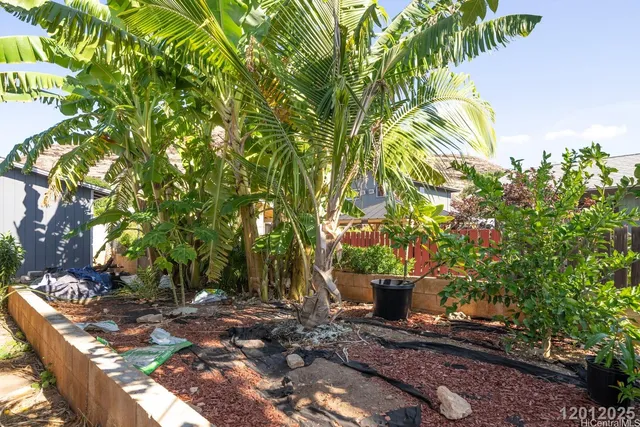a view of a tree with a yard