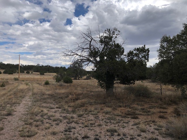 394 Candy Kitchen Road Ramah, NM 87357 - Photo 16 of 29