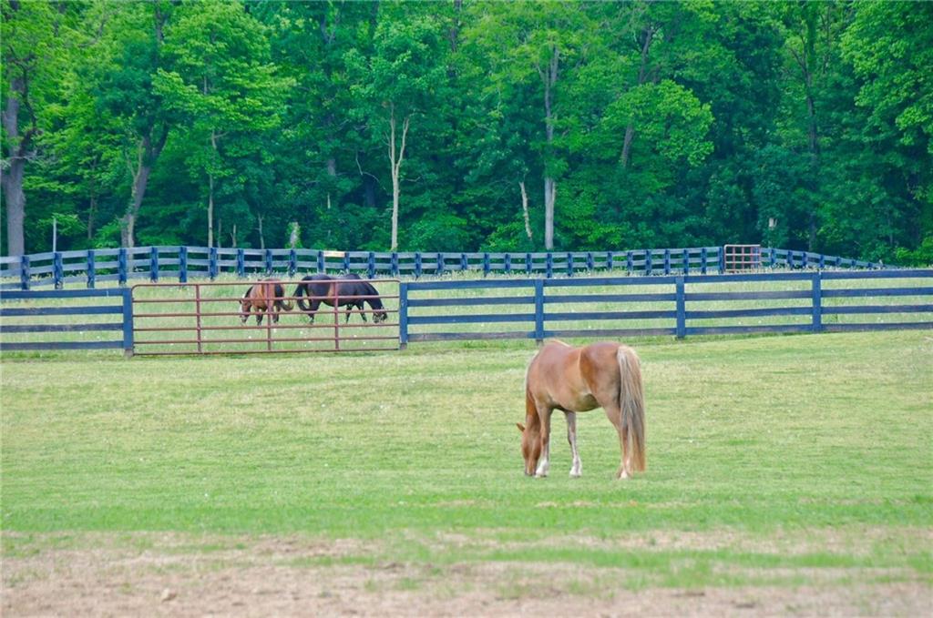 19815 Mule Barn Road Westfield, IN 46074 - Photo 4 of 48