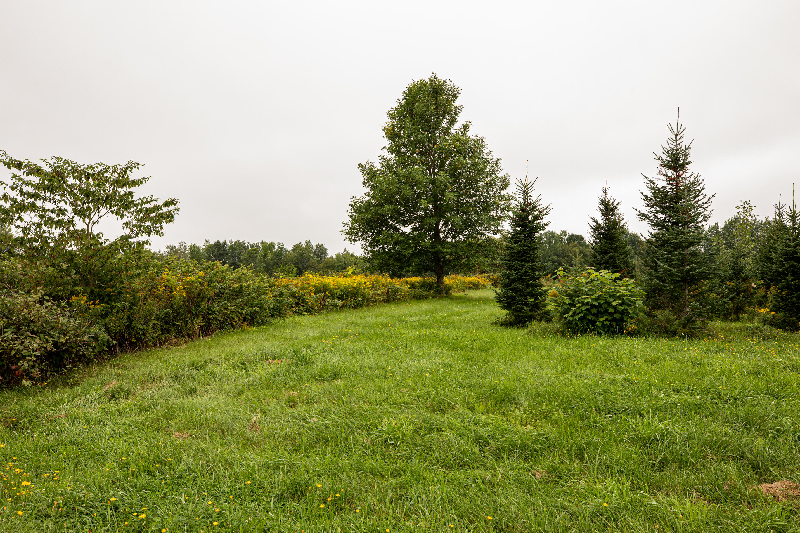 188 Canaan Road Pittsfield, ME 04967 - Photo 16 of 77 188CanaanRd_Pittsfield_Aug_2021-16
