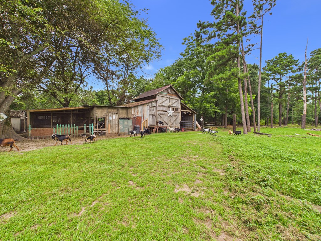 160 Bell Sister Road Lumpkin, GA 31815 - Photo 5 of 23