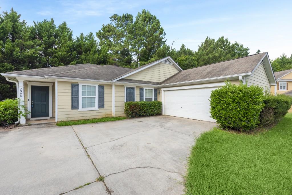 a view of backyard with a garden and plants