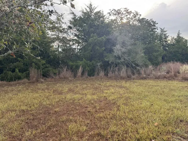 a view of outdoor space and yard