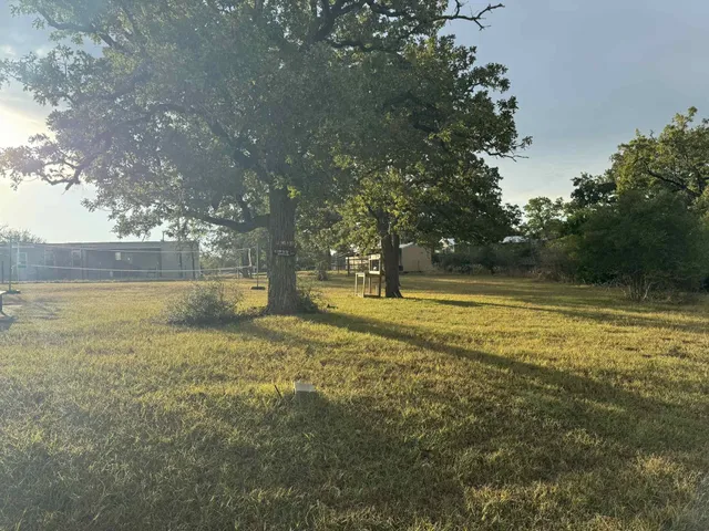 a view of a forest with trees in the background