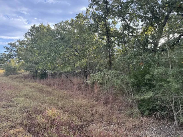 a house view with swimming pool