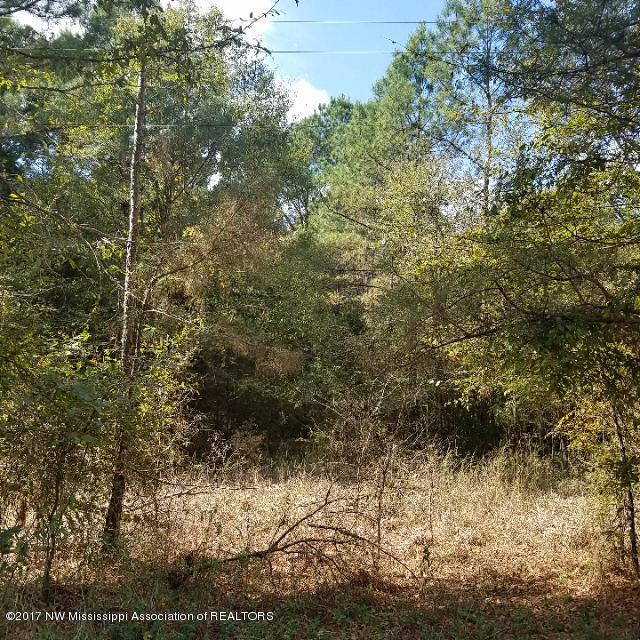 2 Poagville Road Coldwater, MS 38618 - Photo 1 of 1 Street View