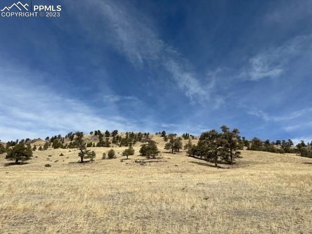 540 Lakeview Road Hartsel, CO 80449 - Photo 1 of 20