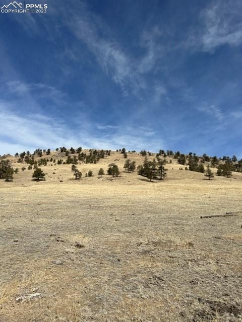 540 Lakeview Road Hartsel, CO 80449 - Photo 2 of 20