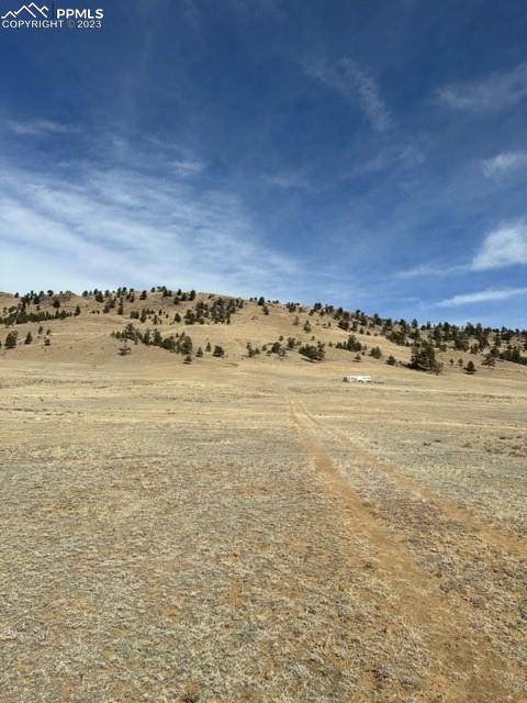 540 Lakeview Road Hartsel, CO 80449 - Photo 3 of 20