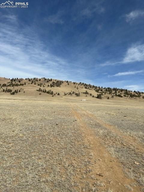 540 Lakeview Road Hartsel, CO 80449 - Photo 4 of 20