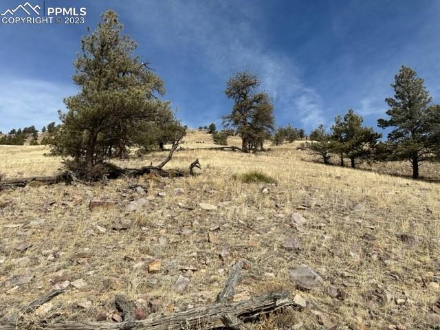 540 Lakeview Road Hartsel, CO 80449 - Photo 5 of 20