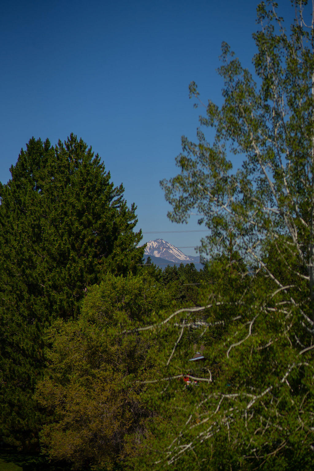 1633 Southeast Virginia Road Bend, OR 97702 - Photo 22 of 58 RileyVisuals-2