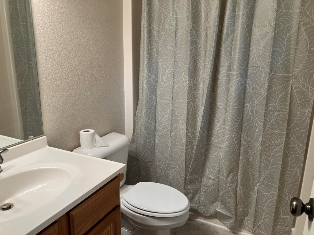 67 Brandys Way Murphy, NC 28906 - Photo 9 of 14 a bathroom with a sink and toilet