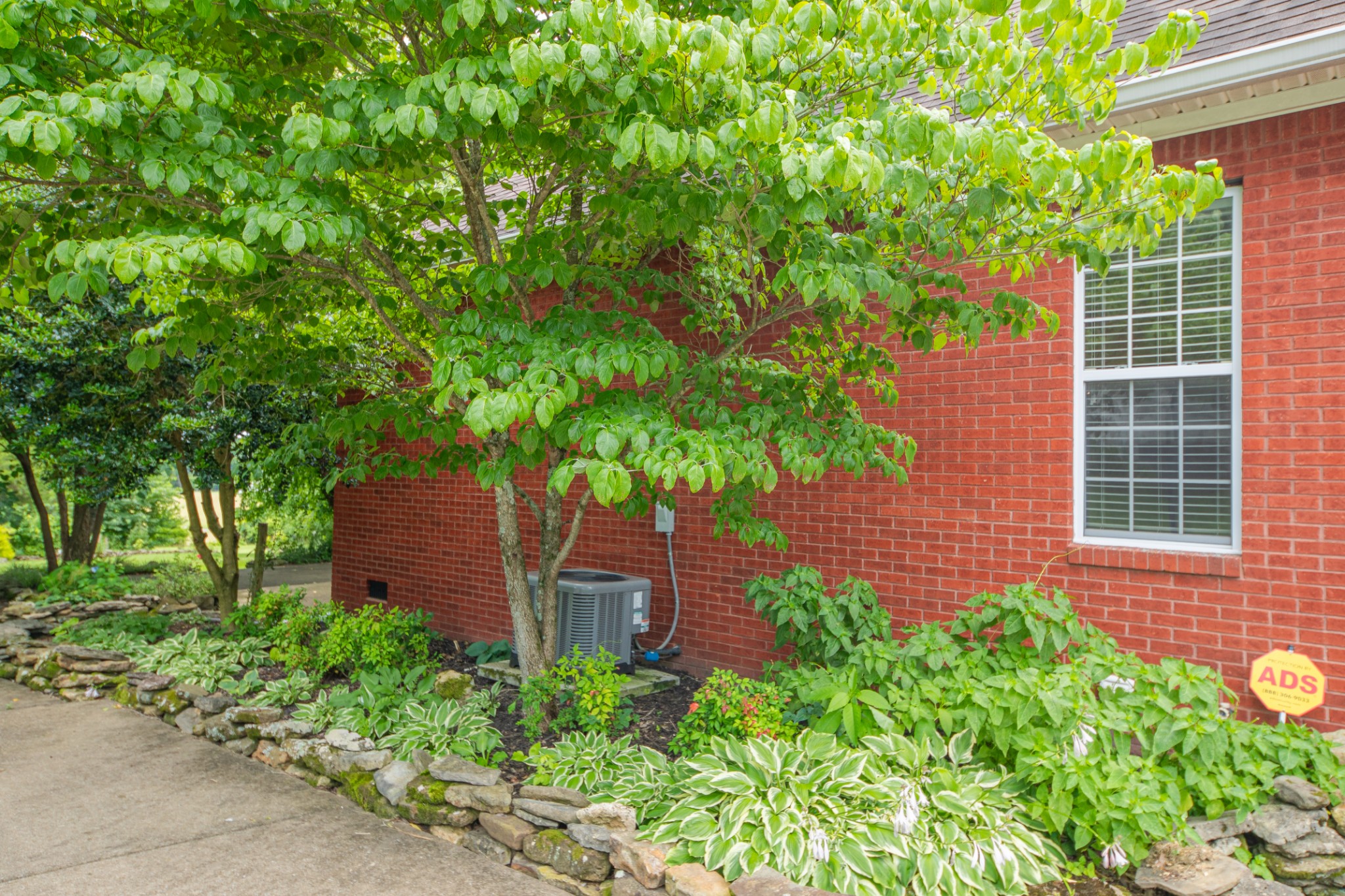 3004 Viewpointe Way Columbia, TN 38401 - Photo 22 of 93