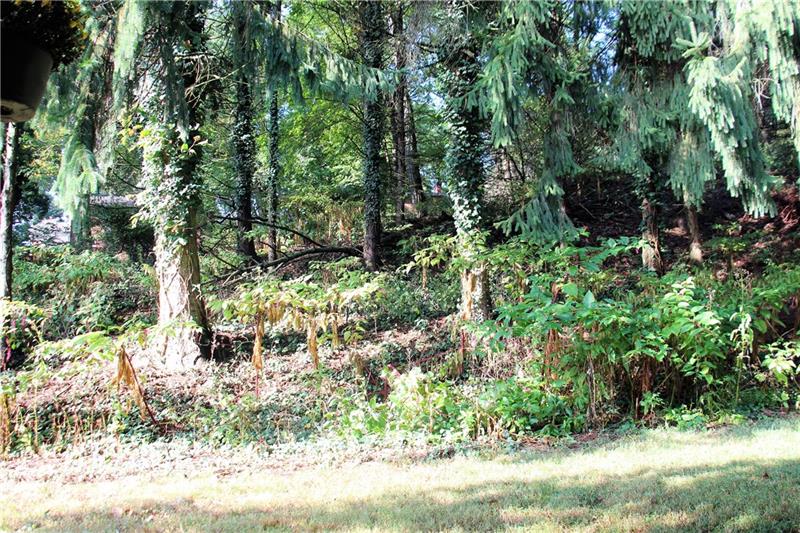 128 Washington Road Forest Hills, PA 15221 - Photo 24 of 25 Gallery Image 24