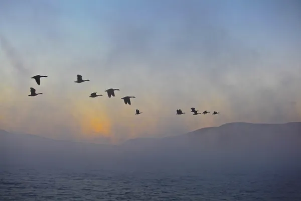 $795,000 | 0 Lakewood Manor Road, Unit 3, Newbury, NH 03255