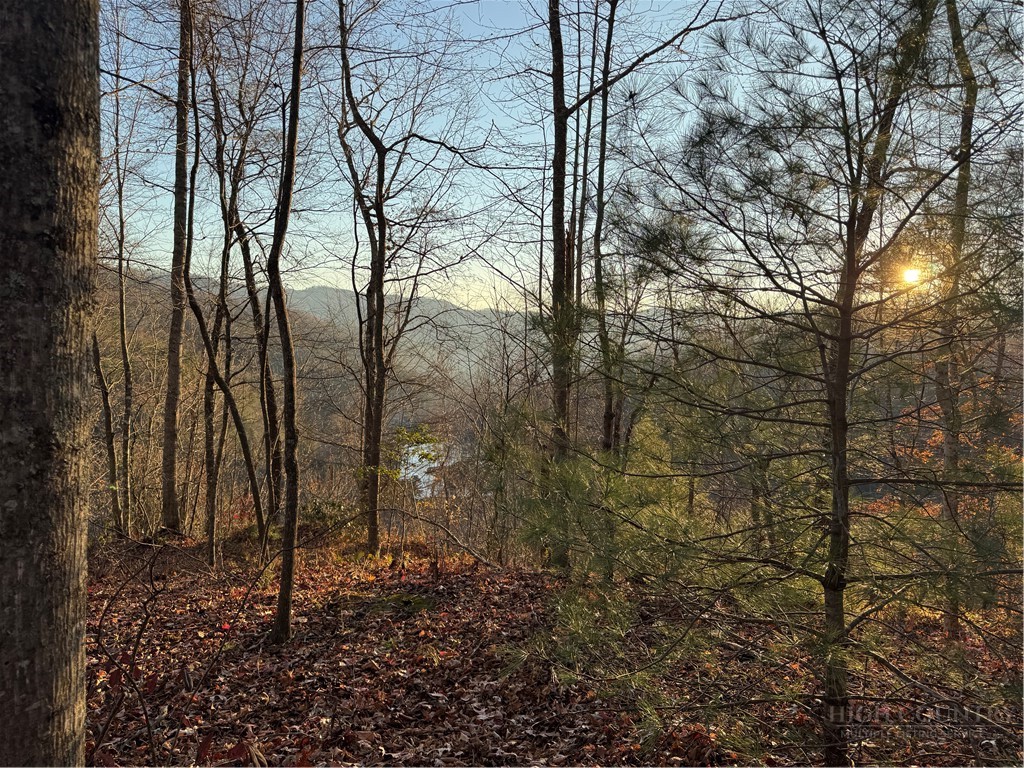 Globe Road Lenoir, NC 28645 - Photo 11 of 40 Gallery Image 11