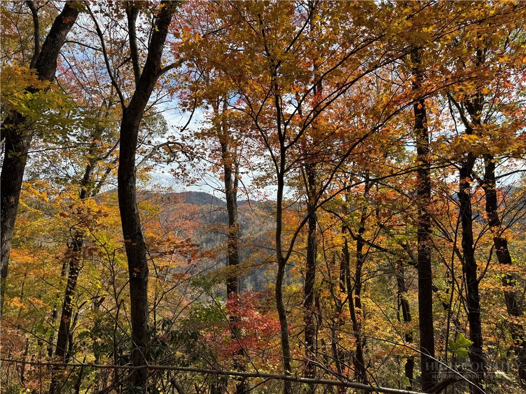 Globe Road Lenoir, NC 28645 - Photo 12 of 40 Gallery Image 12
