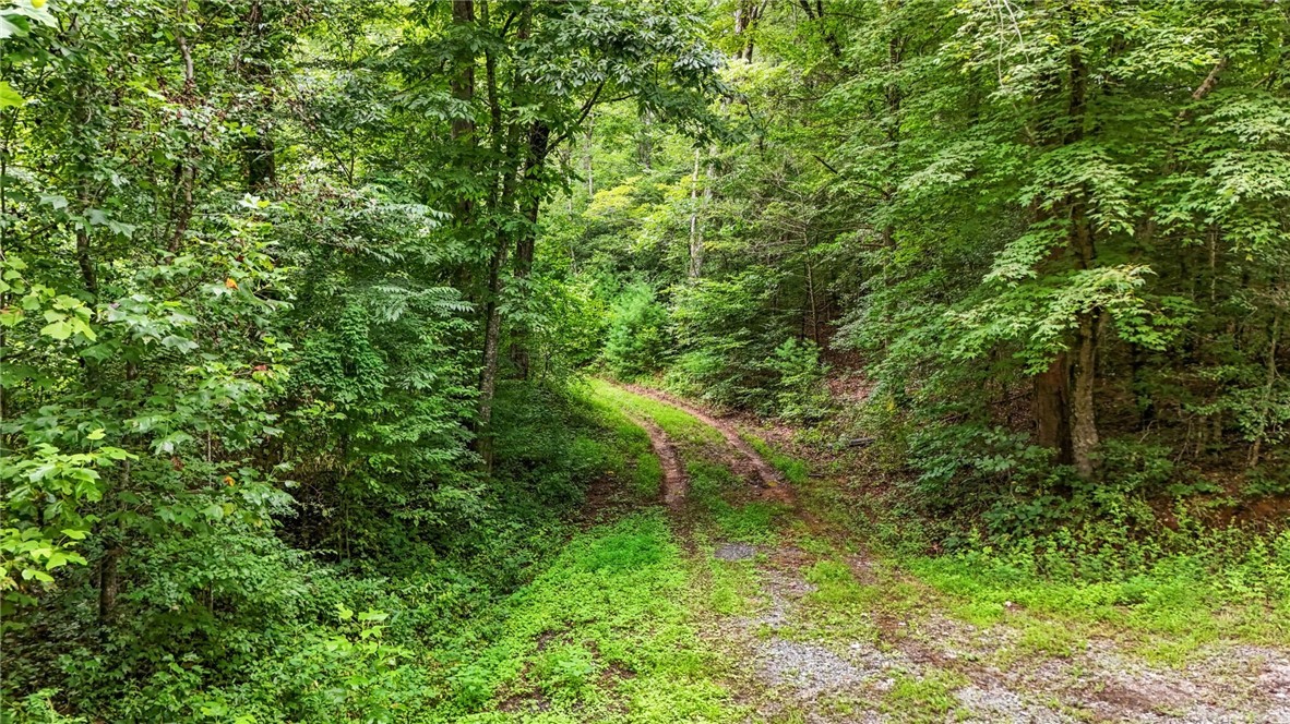 Globe Road Lenoir, NC 28645 - Photo 13 of 40 Gallery Image 13