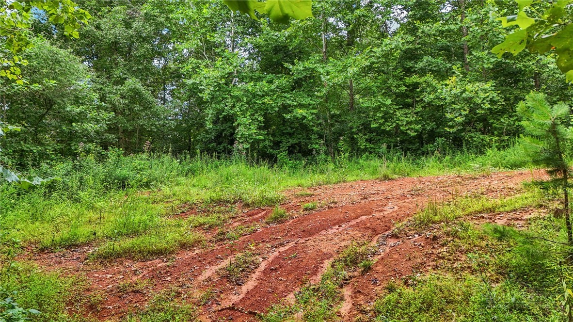 Globe Road Lenoir, NC 28645 - Photo 16 of 40 Gallery Image 16