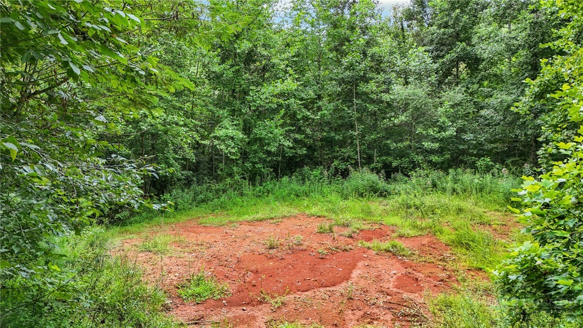 Globe Road Lenoir, NC 28645 - Photo 17 of 40 Gallery Image 17