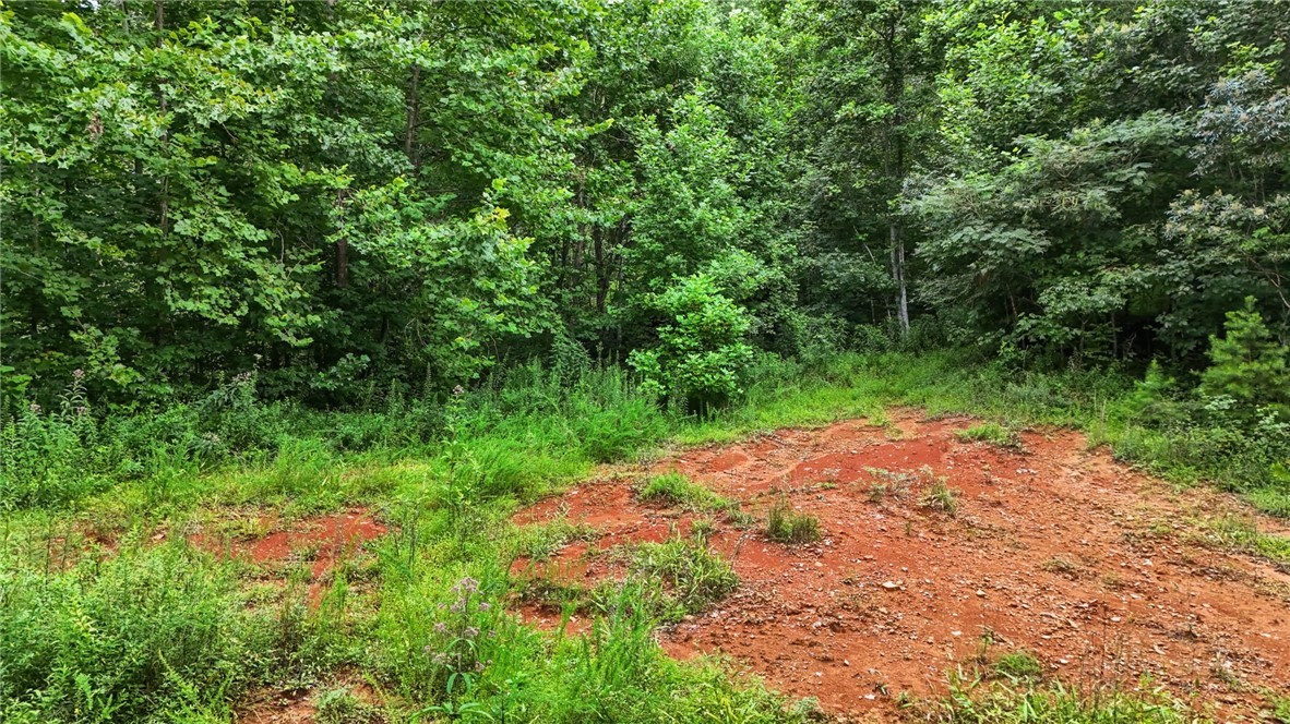 Globe Road Lenoir, NC 28645 - Photo 19 of 40 Gallery Image 19