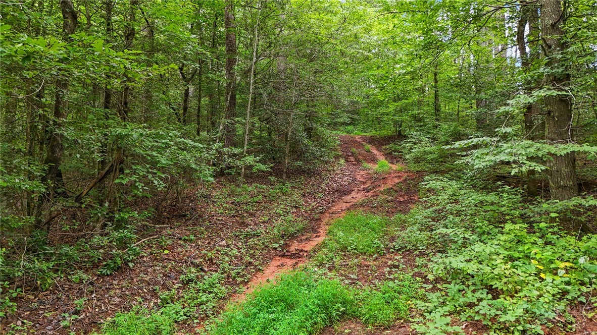 Globe Road Lenoir, NC 28645 - Photo 21 of 40 Gallery Image 21