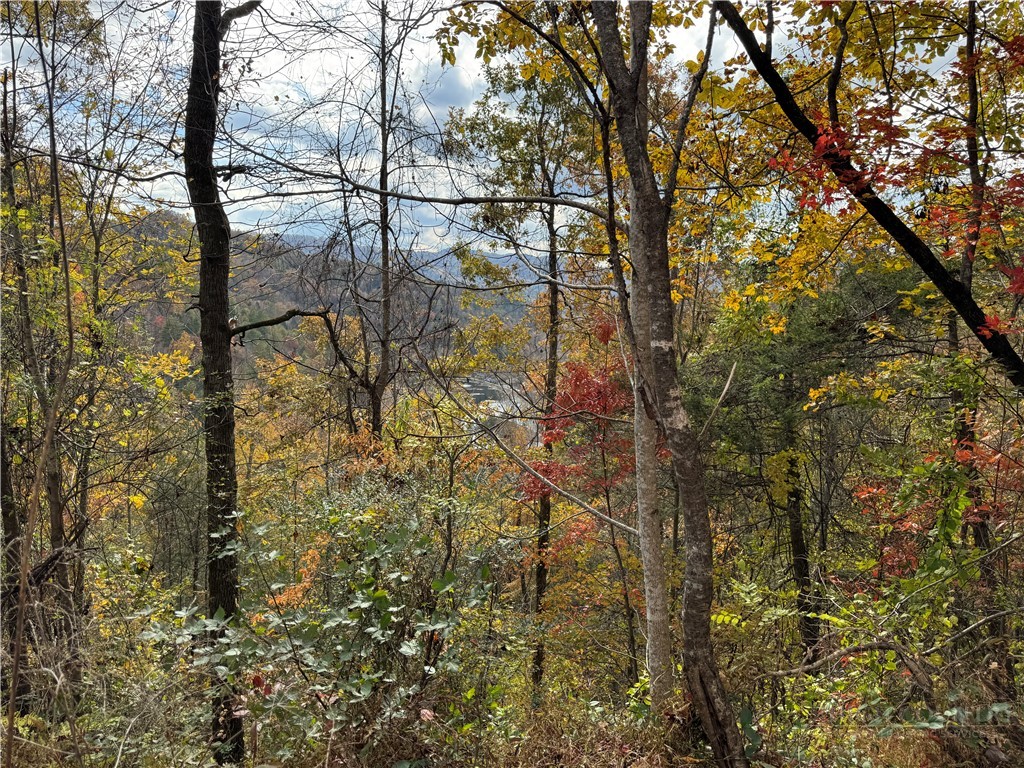 Globe Road Lenoir, NC 28645 - Photo 23 of 40 Gallery Image 23