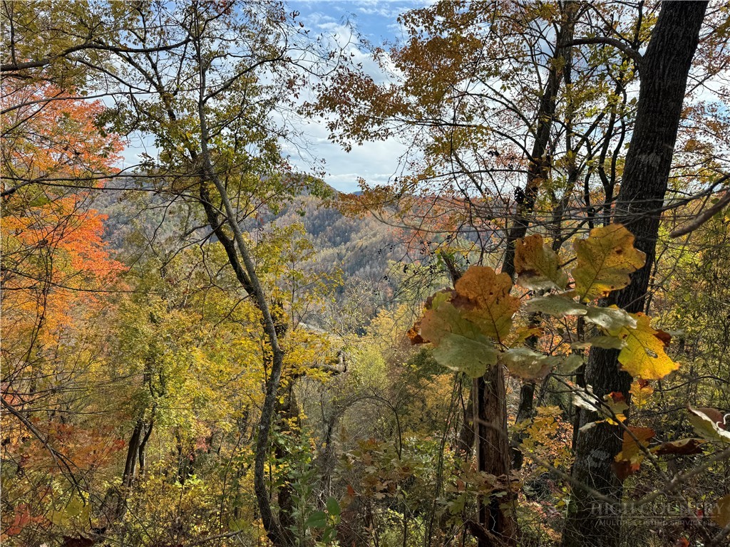 Globe Road Lenoir, NC 28645 - Photo 26 of 40 Gallery Image 26