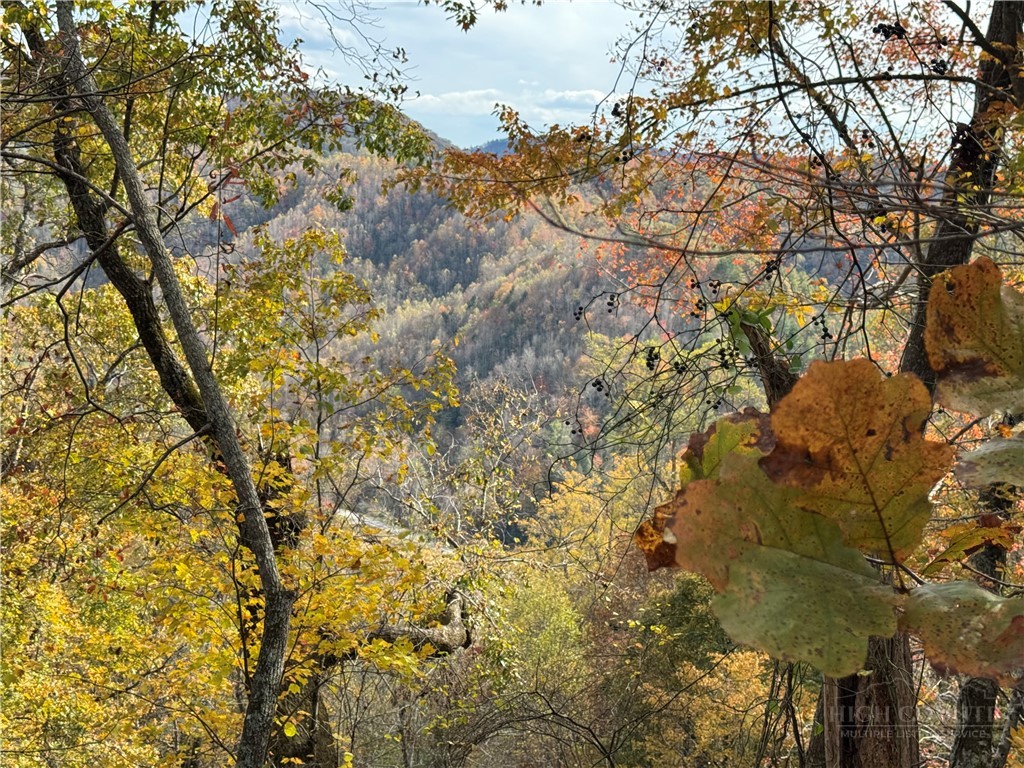 Globe Road Lenoir, NC 28645 - Photo 27 of 40 Gallery Image 27
