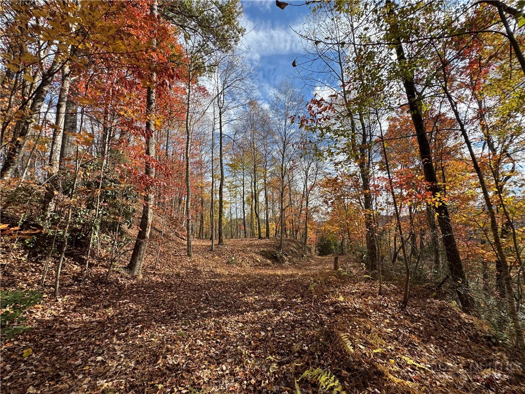 Globe Road Lenoir, NC 28645 - Photo 3 of 40 Gallery Image 3