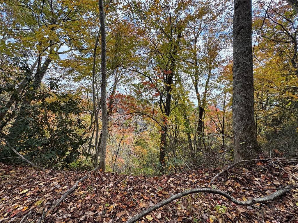 Globe Road Lenoir, NC 28645 - Photo 31 of 40 Gallery Image 31
