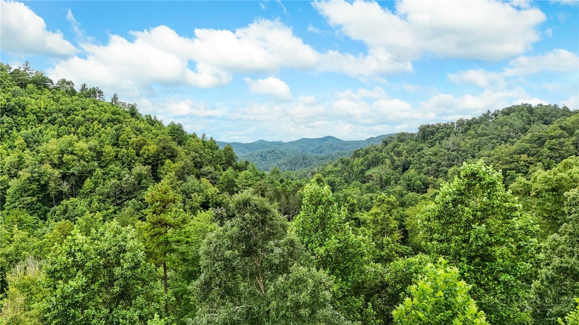 Globe Road Lenoir, NC 28645 - Photo 38 of 40 Gallery Image 38