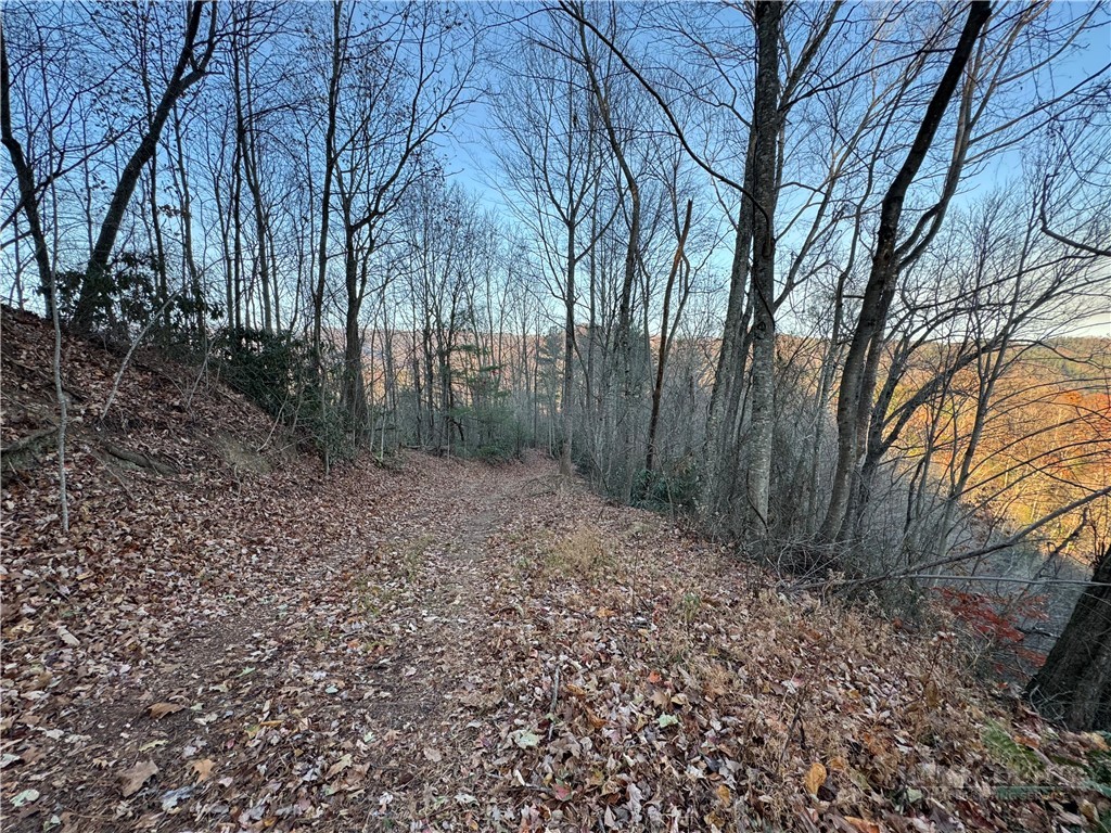 Globe Road Lenoir, NC 28645 - Photo 40 of 40 Gallery Image 40