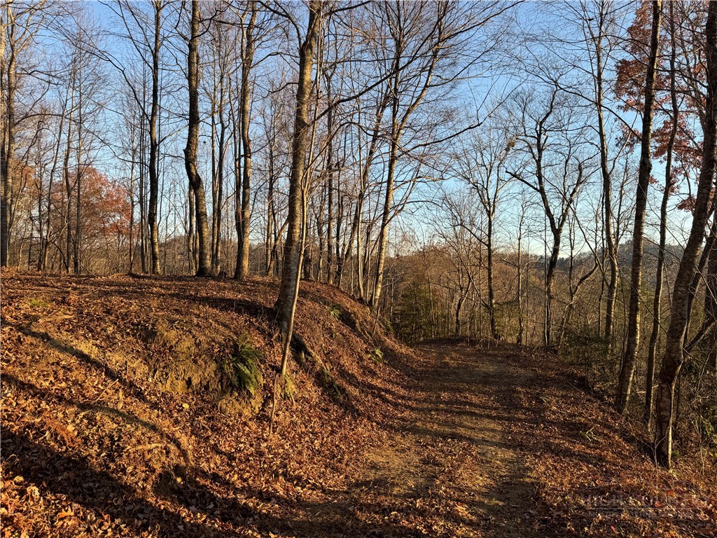 Globe Road Lenoir, NC 28645 - Photo 4 of 40 Gallery Image 4