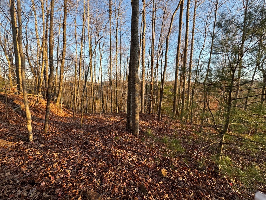 Globe Road Lenoir, NC 28645 - Photo 7 of 40 Gallery Image 7