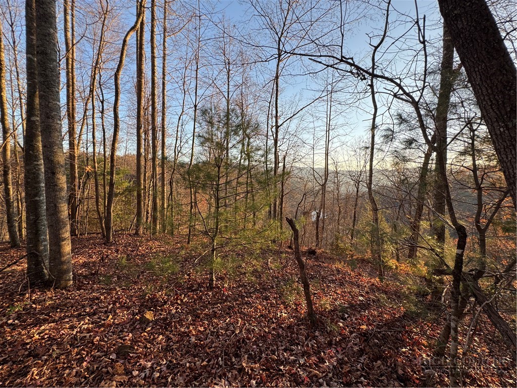 Globe Road Lenoir, NC 28645 - Photo 8 of 40 Gallery Image 8